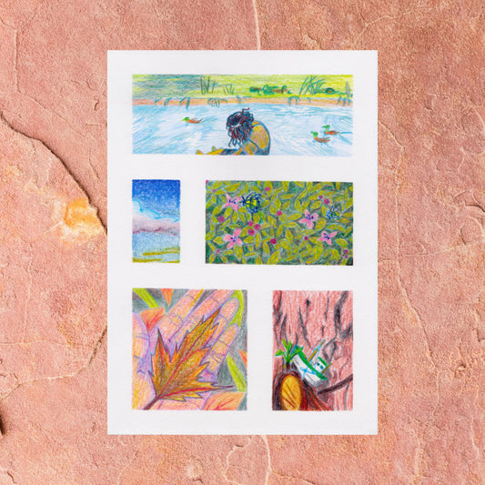 Favourites I (giclée print)