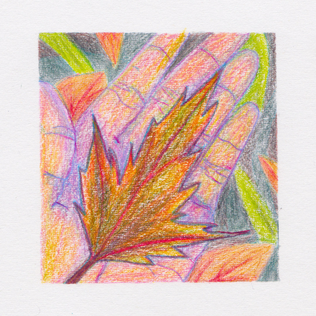 Favourites I (giclée print)