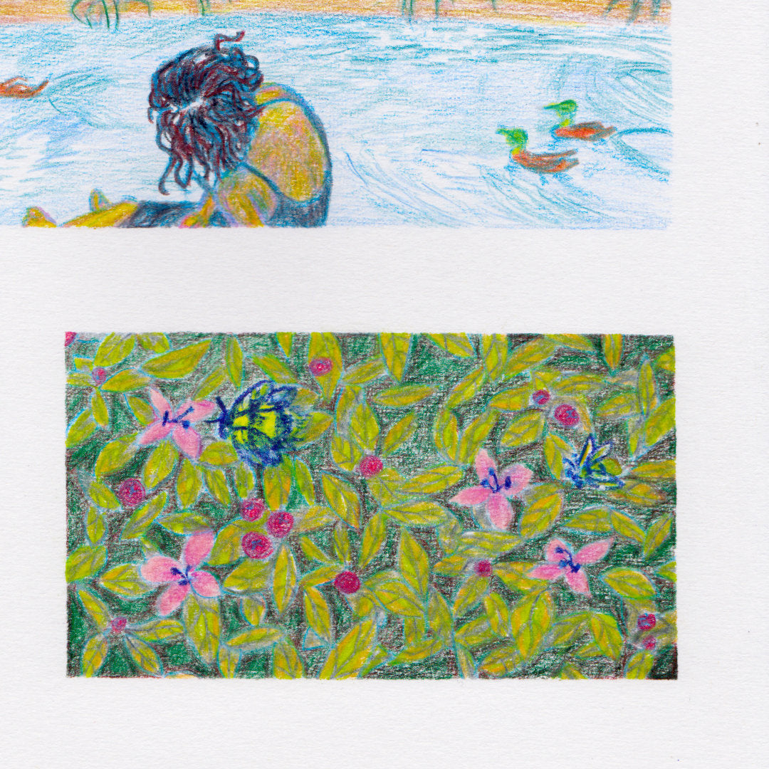 Favourites I (giclée print)