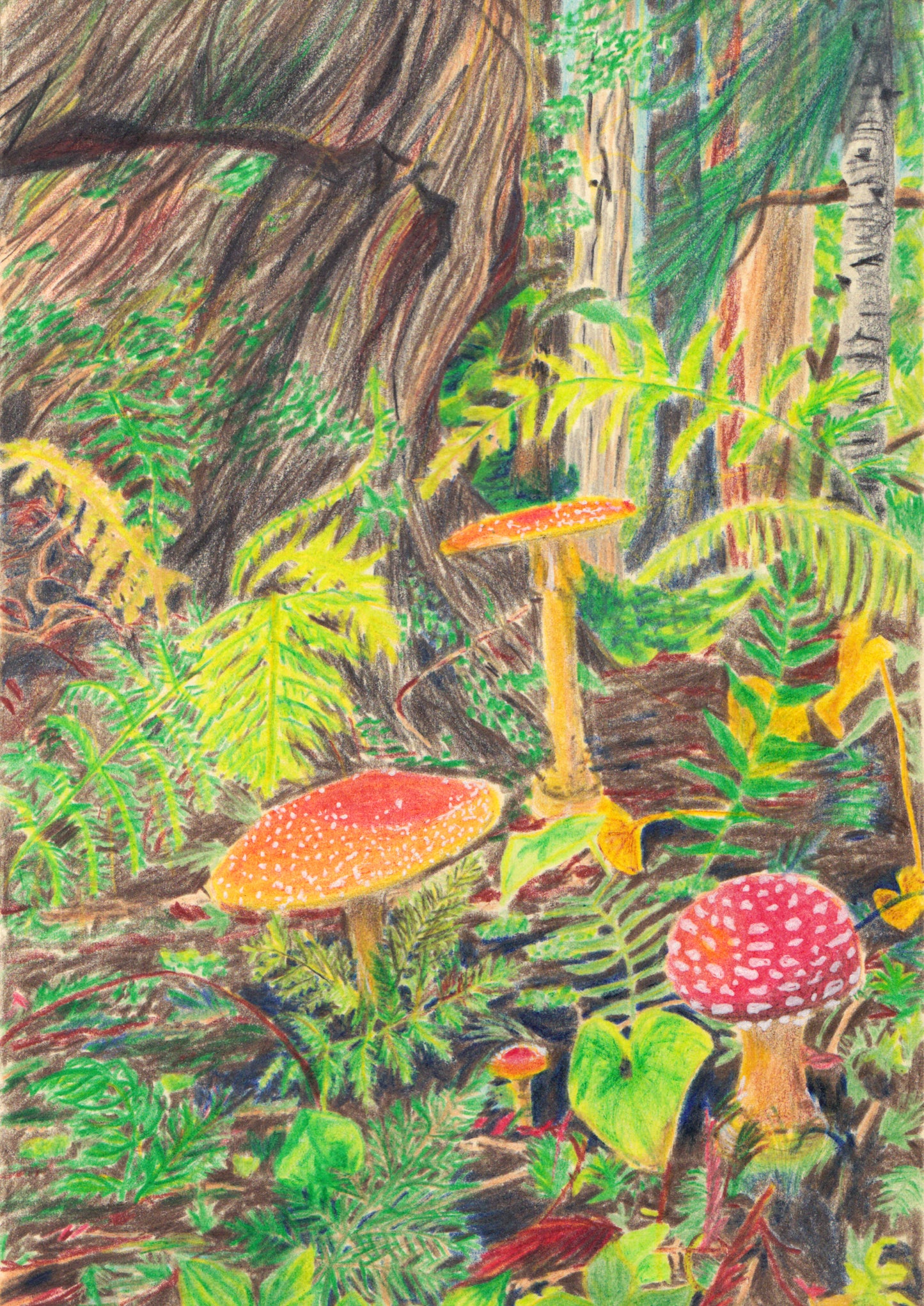 Forest (giclée print)