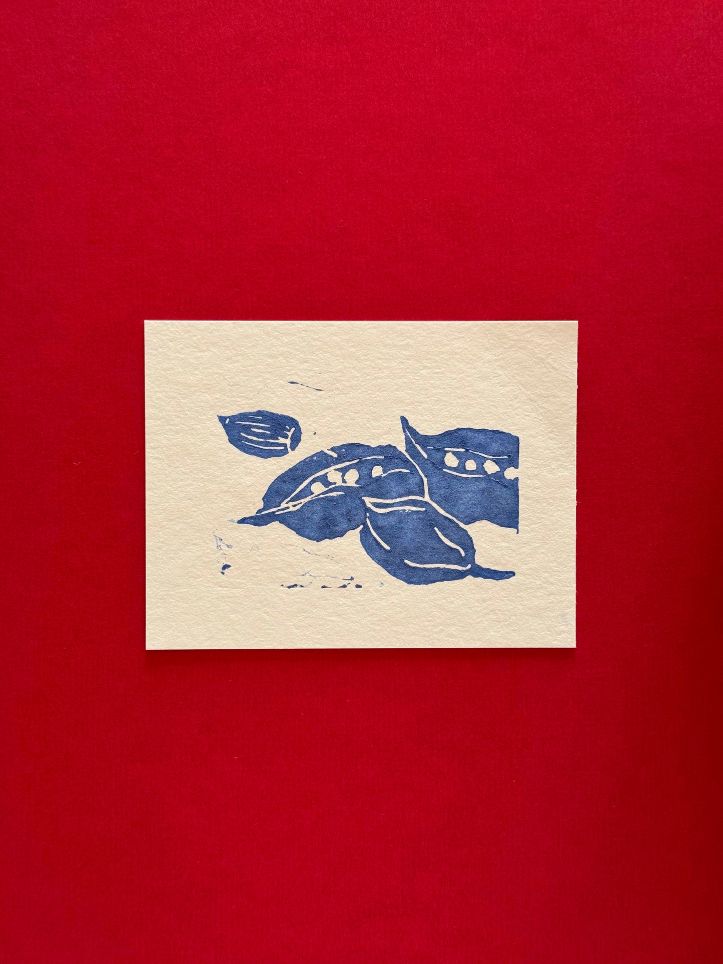 Nature Impressions I (Linoprint limited Edition)