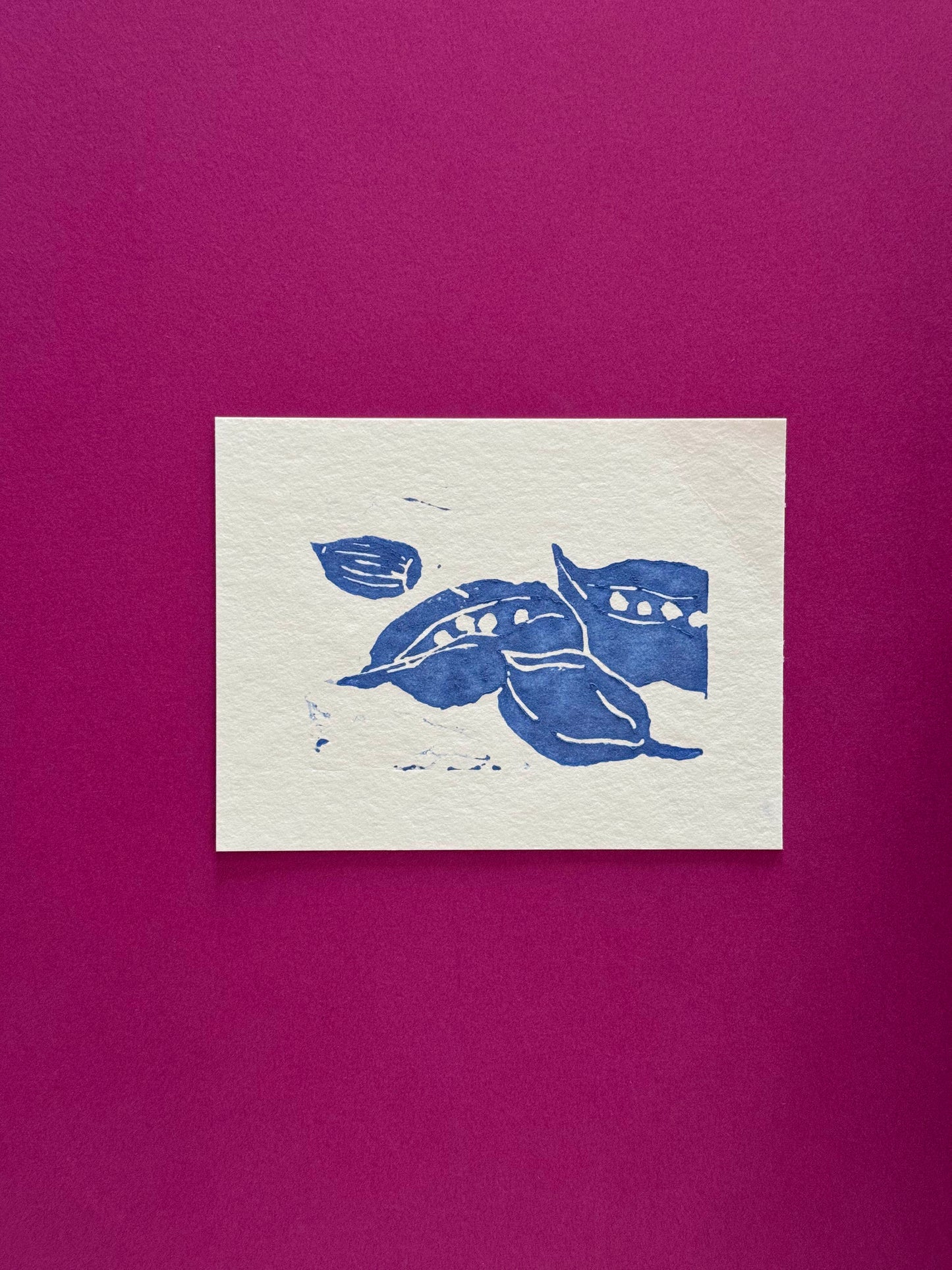 Nature Impressions I (Linoprint limited Edition)
