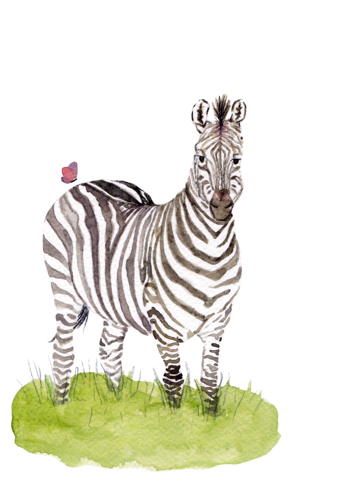 Zeezee the Zebra (fine art print)