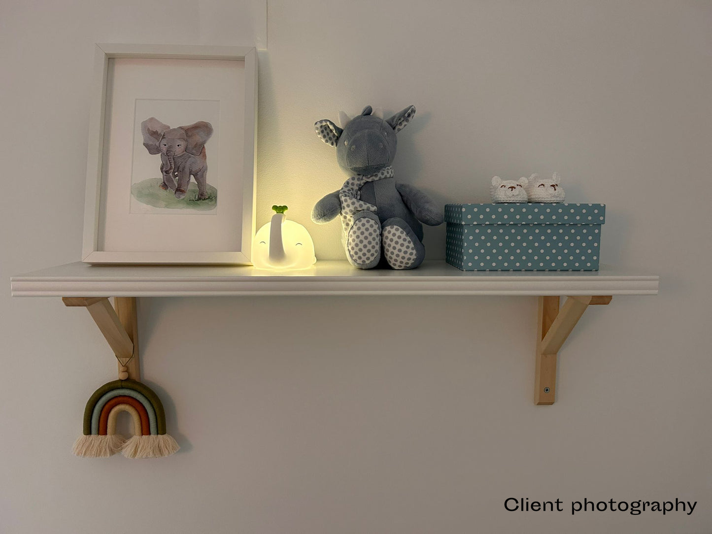Animals for Kids' rooms (giclée prints)
