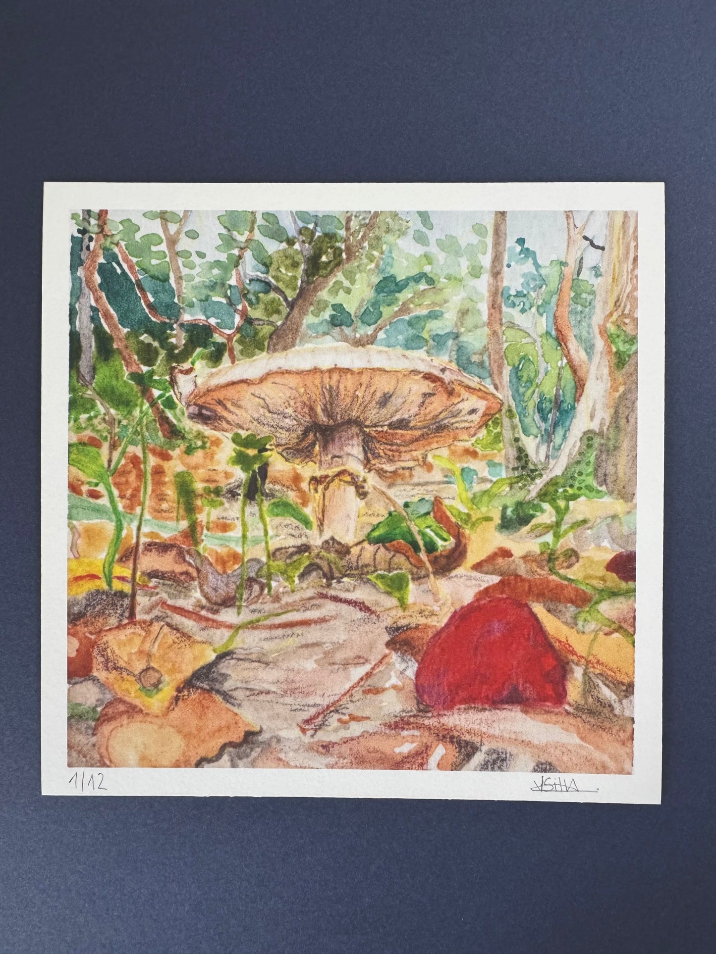 Funghi I (Limited Edition)