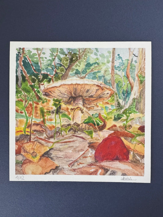 Funghi I (Limited Edition)