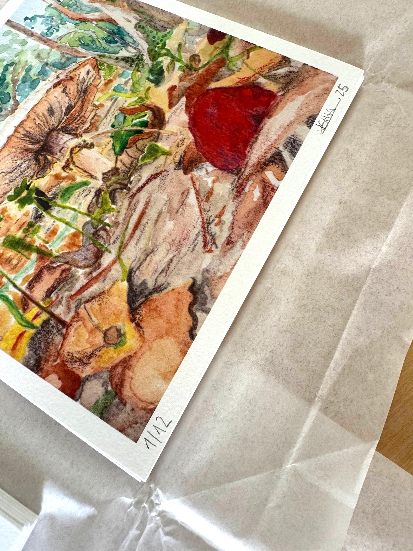 Funghi I (Limited Edition)