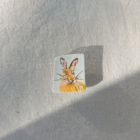 Rabbit Magnet