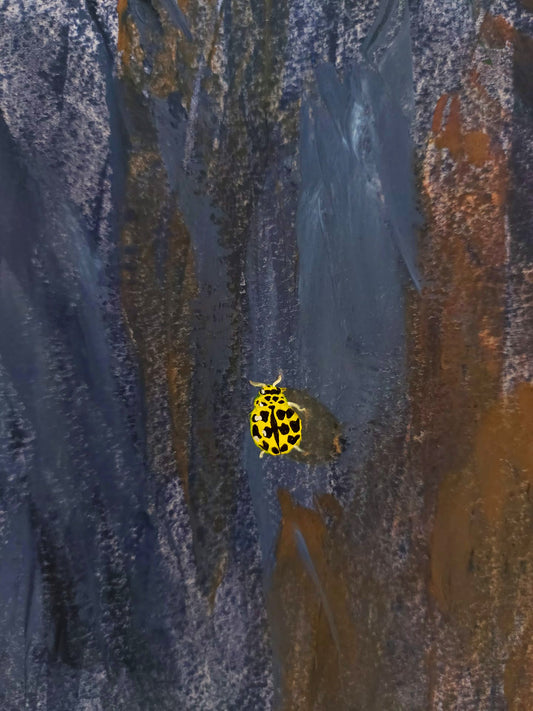 Yellow lady bug