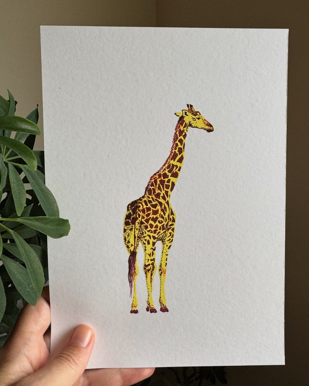 Chill Giraffe